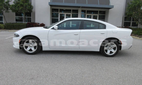 Buy Used Dodge Charger White Car in Apia in Tuamasaga Buy Used Dodge Charger White Car in Apia in Tuamasaga