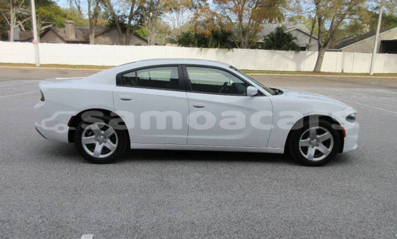 Buy Used Dodge Charger White Car in Apia in Tuamasaga Buy Used Dodge Charger White Car in Apia in Tuamasaga
