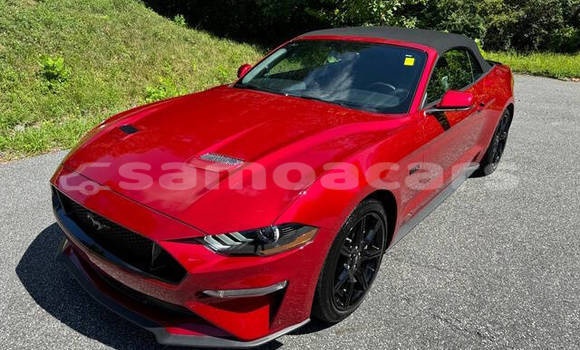 Buy Used Ford Mustang Red Car in Apia in Tuamasaga Buy Used Ford Mustang Red Car in Apia in Tuamasaga
