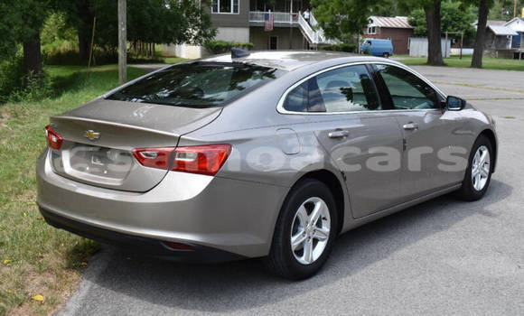 Buy Used Chevrolet Malibu Other Car in Apia in Tuamasaga Buy Used Chevrolet Malibu Other Car in Apia in Tuamasaga