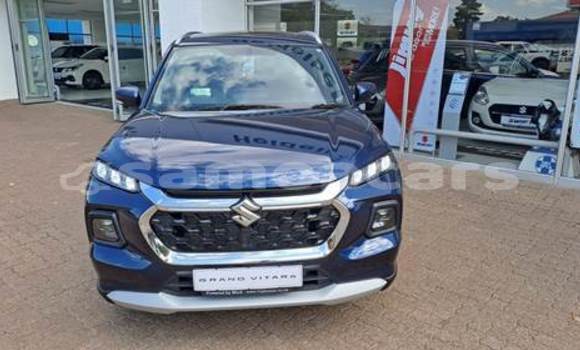 Buy Used Suzuki Grand Vitara Blue Car in Apia in Tuamasaga Buy Used Suzuki Grand Vitara Blue Car in Apia in Tuamasaga