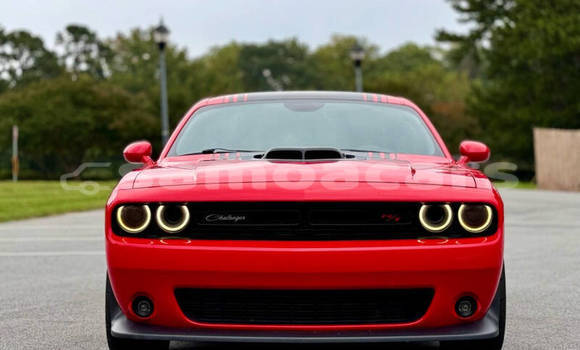 Buy Used Dodge Challenger Red Car in Apia in Tuamasaga Buy Used Dodge Challenger Red Car in Apia in Tuamasaga