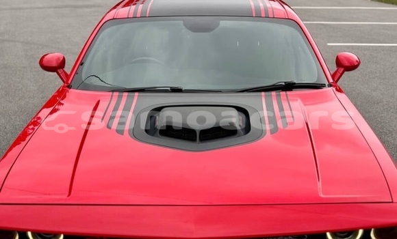 Buy Used Dodge Challenger Red Car in Apia in Tuamasaga Buy Used Dodge Challenger Red Car in Apia in Tuamasaga