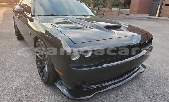 Buy Used Dodge Challenger Black Car in Apia in Tuamasaga Buy Used Dodge Challenger Black Car in Apia in Tuamasaga