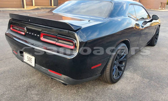 Buy Used Dodge Challenger Black Car in Apia in Tuamasaga Buy Used Dodge Challenger Black Car in Apia in Tuamasaga