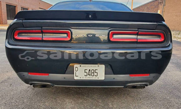 Buy Used Dodge Challenger Black Car in Apia in Tuamasaga Buy Used Dodge Challenger Black Car in Apia in Tuamasaga