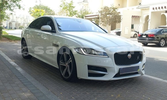 Buy Used Jaguar XF White Car in Falelatai in A'ana Buy Used Jaguar XF White Car in Falelatai in A'ana