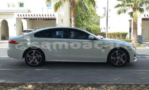 Buy Used Jaguar XF White Car in Falelatai in A'ana Buy Used Jaguar XF White Car in Falelatai in A'ana