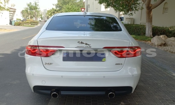 Buy Used Jaguar XF White Car in Falelatai in A'ana Buy Used Jaguar XF White Car in Falelatai in A'ana