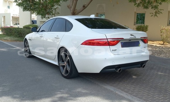 Buy Used Jaguar XF White Car in Falelatai in A'ana Buy Used Jaguar XF White Car in Falelatai in A'ana