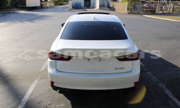 Buy Used Lexus IS White Car in Apia in Tuamasaga Buy Used Lexus IS White Car in Apia in Tuamasaga