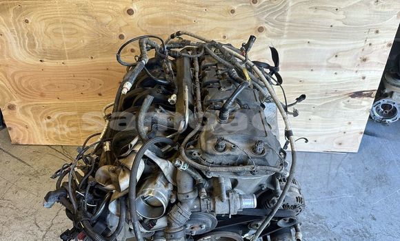 Buy FORD F150 5.0L COYOTE in Leulumoega in A'ana Buy FORD F150 5.0L COYOTE in Leulumoega in A'ana