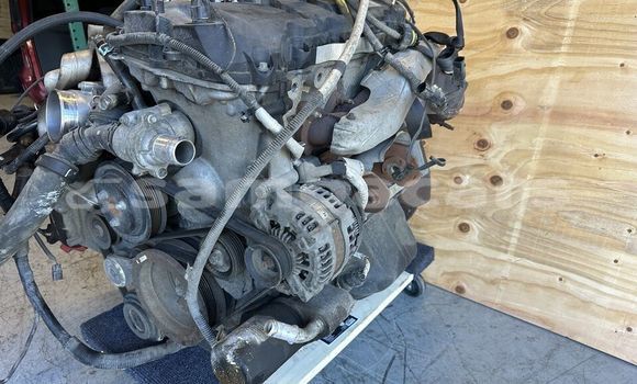 Buy FORD F150 5.0L COYOTE in Leulumoega in A'ana Buy FORD F150 5.0L COYOTE in Leulumoega in A'ana