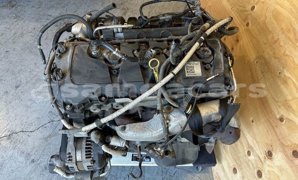 Buy FORD F150 5.0L COYOTE in Leulumoega in A'ana Buy FORD F150 5.0L COYOTE in Leulumoega in A'ana