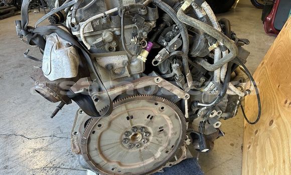 Buy FORD F150 5.0L COYOTE in Leulumoega in A'ana Buy FORD F150 5.0L COYOTE in Leulumoega in A'ana