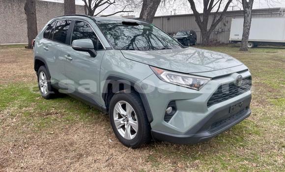 Buy Used Toyota RAV4 Green Car in Apolima'uta in A'ana