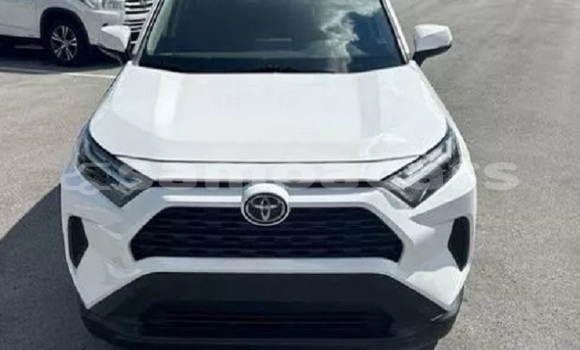 Buy Used Toyota RAV4 White Car in Faleapuna in Va'a-o-Fonoti