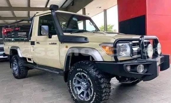 Buy Used Toyota Land Cruiser Beige Car in Fagamalo in Gaga'emauga