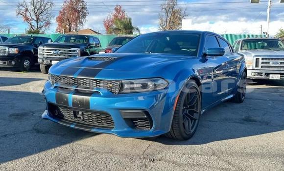 Buy Used Dodge Charger Blue Car in Apia in Tuamasaga