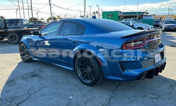 Buy Used Dodge Charger Blue Car in Apia in Tuamasaga Buy Used Dodge Charger Blue Car in Apia in Tuamasaga