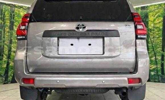 Buy Used Toyota Land Cruiser Prado Black Car in Apia in Tuamasaga Buy Used Toyota Land Cruiser Prado Black Car in Apia in Tuamasaga