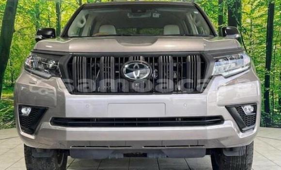 Buy Used Toyota Land Cruiser Prado Black Car in Apia in Tuamasaga Buy Used Toyota Land Cruiser Prado Black Car in Apia in Tuamasaga