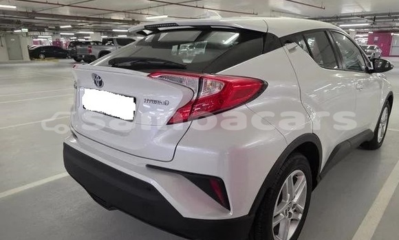 Buy Used Toyota C-HR White Car in Apia in Tuamasaga Buy Used Toyota C-HR White Car in Apia in Tuamasaga