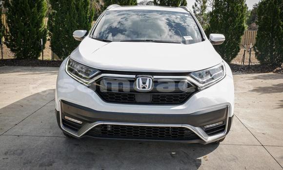 Buy Used Honda CRV White Car in Apia in Tuamasaga Buy Used Honda CRV White Car in Apia in Tuamasaga