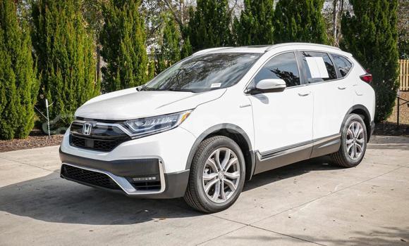 Buy Used Honda CRV White Car in Apia in Tuamasaga Buy Used Honda CRV White Car in Apia in Tuamasaga
