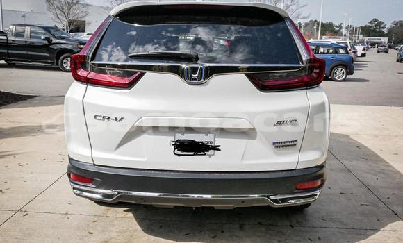 Buy Used Honda CRV White Car in Apia in Tuamasaga Buy Used Honda CRV White Car in Apia in Tuamasaga
