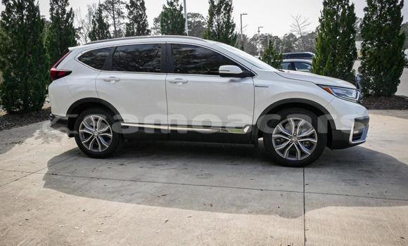 Buy Used Honda CRV White Car in Apia in Tuamasaga Buy Used Honda CRV White Car in Apia in Tuamasaga