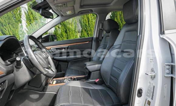 Buy Used Honda CRV White Car in Apia in Tuamasaga Buy Used Honda CRV White Car in Apia in Tuamasaga