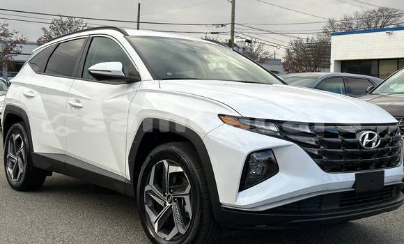 Buy Used Hyundai Tucson White Car in Apia in Tuamasaga