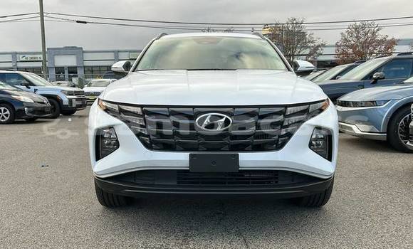Buy Used Hyundai Tucson White Car in Apia in Tuamasaga Buy Used Hyundai Tucson White Car in Apia in Tuamasaga