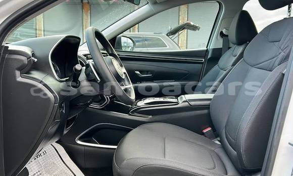 Buy Used Hyundai Tucson White Car in Apia in Tuamasaga Buy Used Hyundai Tucson White Car in Apia in Tuamasaga