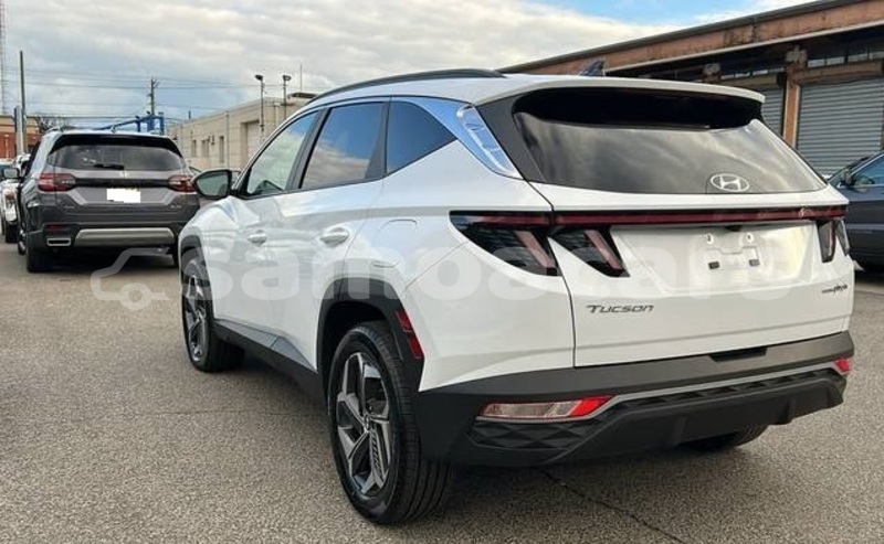 Big with watermark hyundai tucson tuamasaga apia 5596