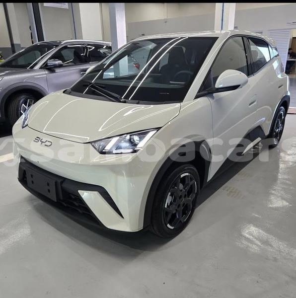 Big with watermark byd s6 tuamasaga apia 5603