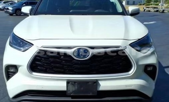 Buy Used Toyota Highlander White Car in Apia in Tuamasaga