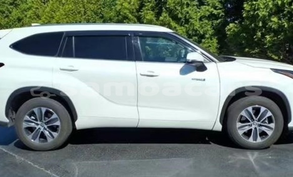 Buy Used Toyota Highlander White Car in Apia in Tuamasaga Buy Used Toyota Highlander White Car in Apia in Tuamasaga