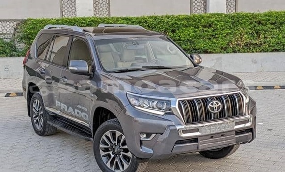 Buy Used Toyota Land Cruiser Prado White Car in Apia in Tuamasaga