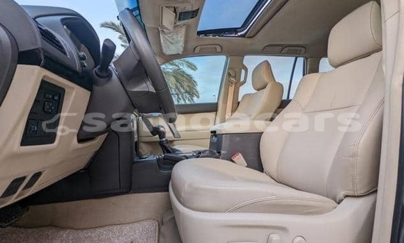 Buy Used Toyota Land Cruiser Prado White Car in Apia in Tuamasaga Buy Used Toyota Land Cruiser Prado White Car in Apia in Tuamasaga
