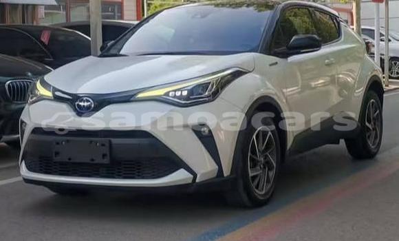 Buy Used Toyota C-HR White Car in Apia in Tuamasaga