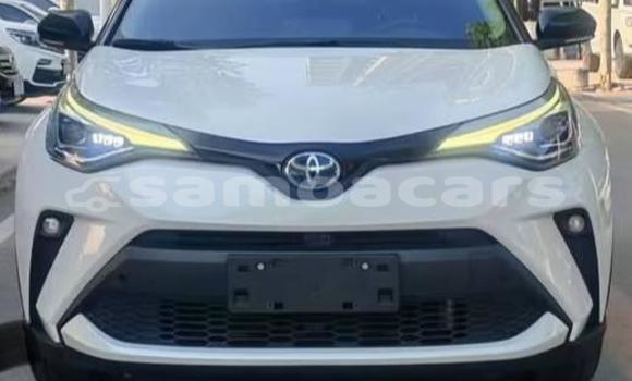 Acheter Occasion Voiture Toyota C-HR Blanc à Apia, Tuamasaga Acheter Occasion Voiture Toyota C-HR Blanc à Apia, Tuamasaga