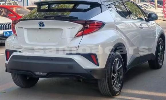 Acheter Occasion Voiture Toyota C-HR Blanc à Apia, Tuamasaga Acheter Occasion Voiture Toyota C-HR Blanc à Apia, Tuamasaga