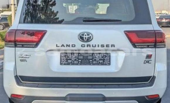 Acheter Occasion Voiture Toyota Land Cruiser Blanc à Apia, Tuamasaga Acheter Occasion Voiture Toyota Land Cruiser Blanc à Apia, Tuamasaga