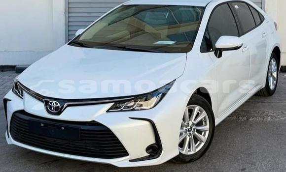 Buy Used Toyota Corolla White Car in Apia in Tuamasaga