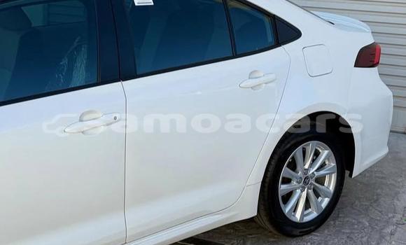 Acheter Occasion Voiture Toyota Corolla Blanc à Apia, Tuamasaga Acheter Occasion Voiture Toyota Corolla Blanc à Apia, Tuamasaga