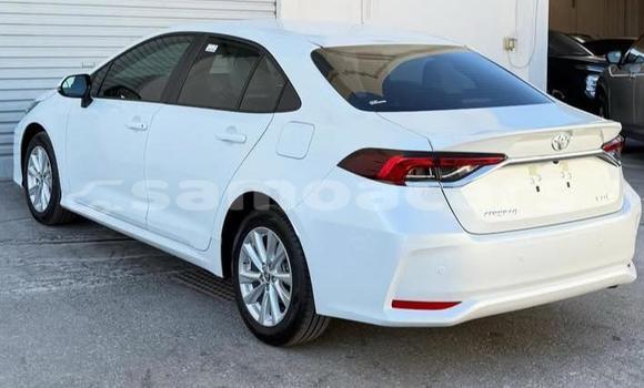 Acheter Occasion Voiture Toyota Corolla Blanc à Apia, Tuamasaga Acheter Occasion Voiture Toyota Corolla Blanc à Apia, Tuamasaga