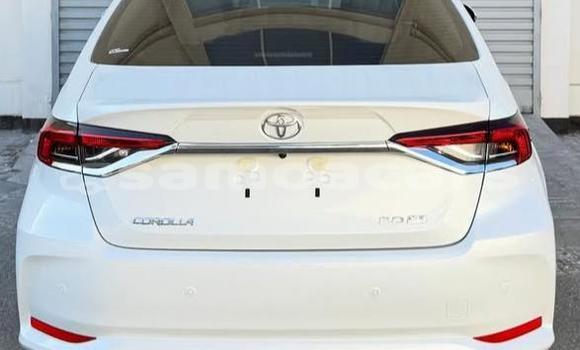 Acheter Occasion Voiture Toyota Corolla Blanc à Apia, Tuamasaga Acheter Occasion Voiture Toyota Corolla Blanc à Apia, Tuamasaga