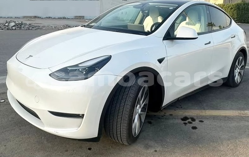 Big with watermark tesla model 3 tuamasaga apia 5675